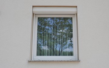 tischlerei_paderborn_ruesing_fenster_frontal.jpg